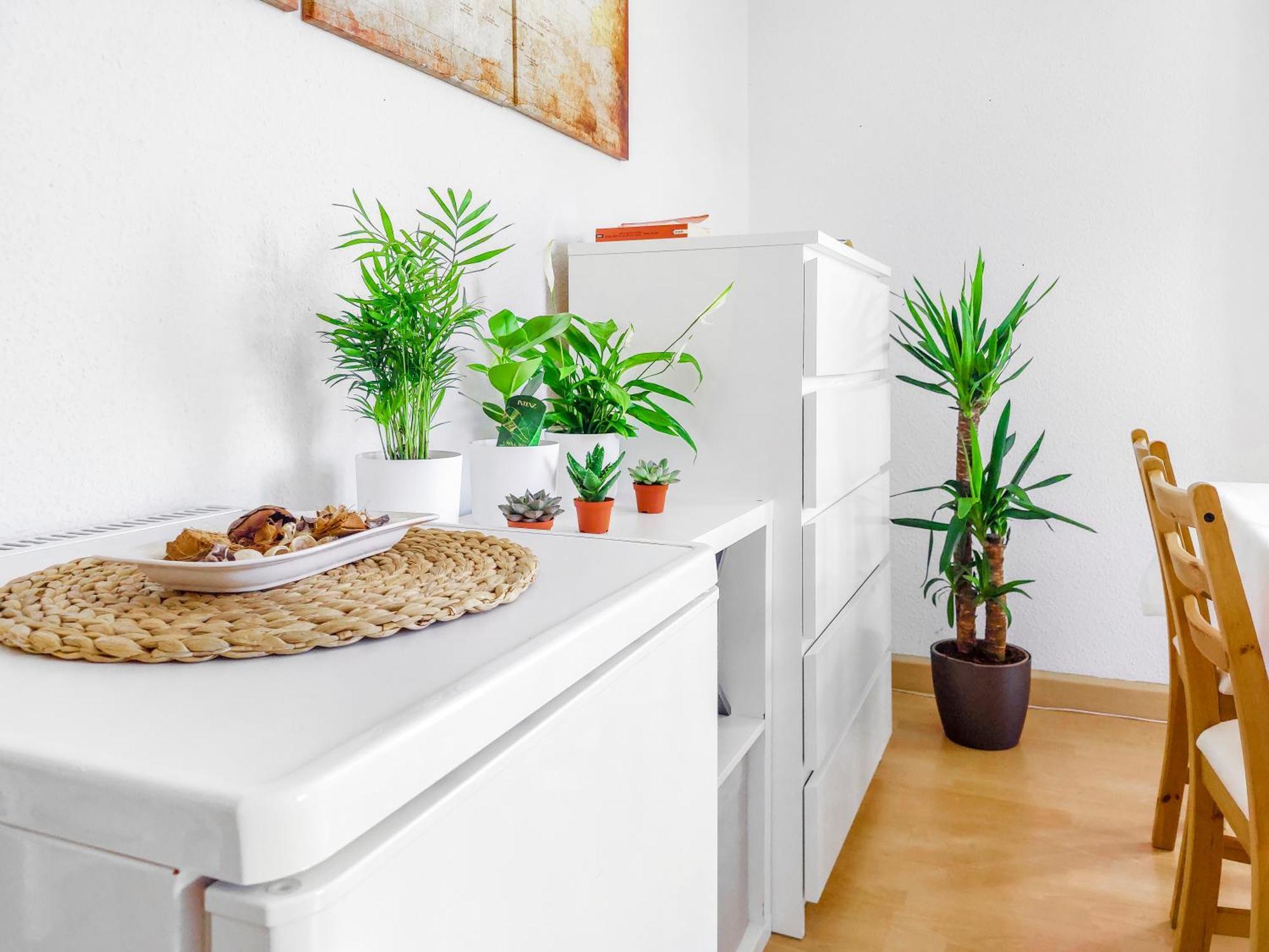Bis 6 Personen - Helle, Ruhige Whg, 2 Baeder, Dd Neustadt, Top Lage Dresden Exterior foto